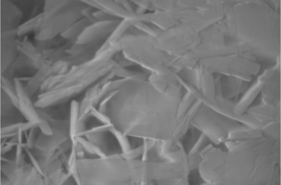 Nano hydroxyapatite powder
